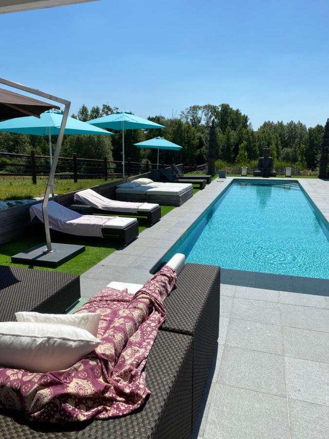 B&B La Douceur De La Miclette Ellezelles Buitenkant foto