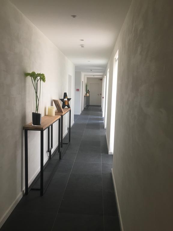 B&B La Douceur De La Miclette Ellezelles Buitenkant foto