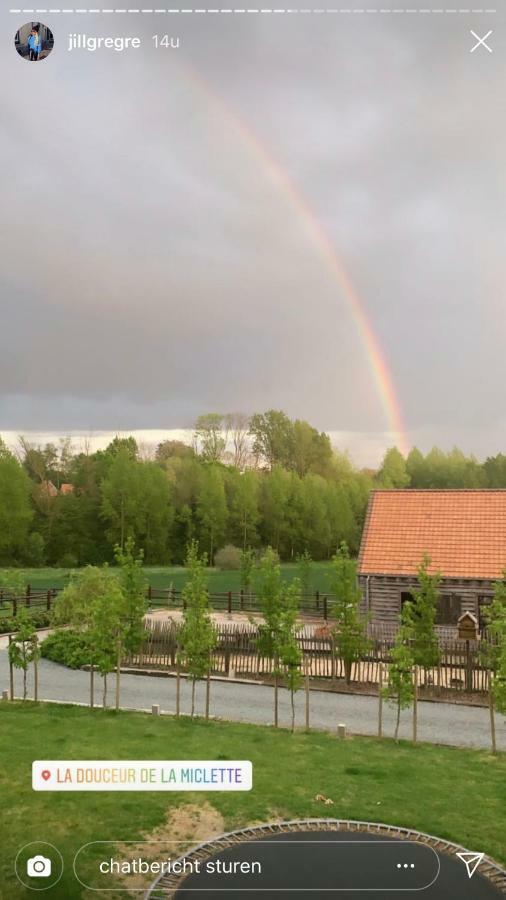B&B La Douceur De La Miclette Ellezelles Buitenkant foto